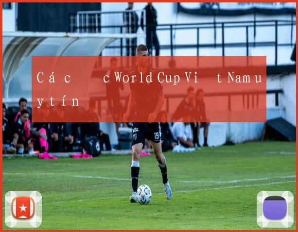 Cá cược World Cup Việt Nam uy tín