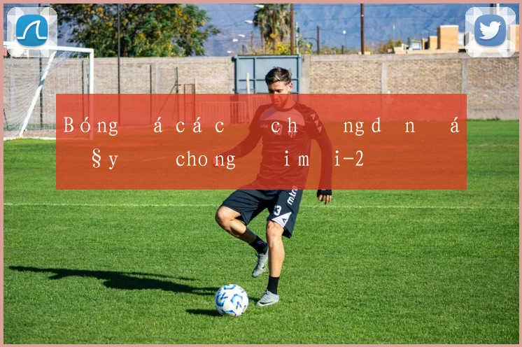 Bóng đá cá cược hướng dẫn đầy đủ cho người mới