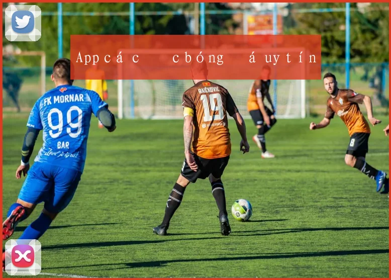 App cá cược bóng đá uy tín