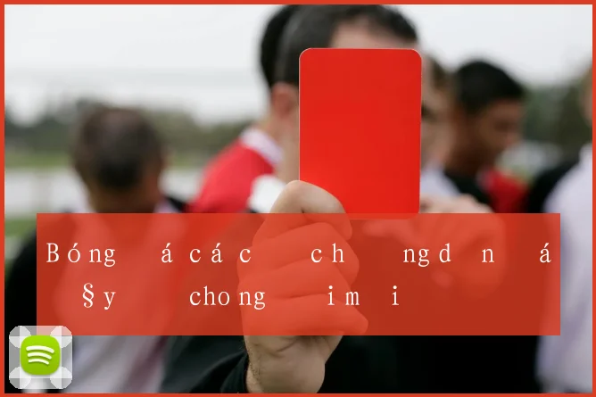 Bóng đá cá cược hướng dẫn đầy đủ cho người mới