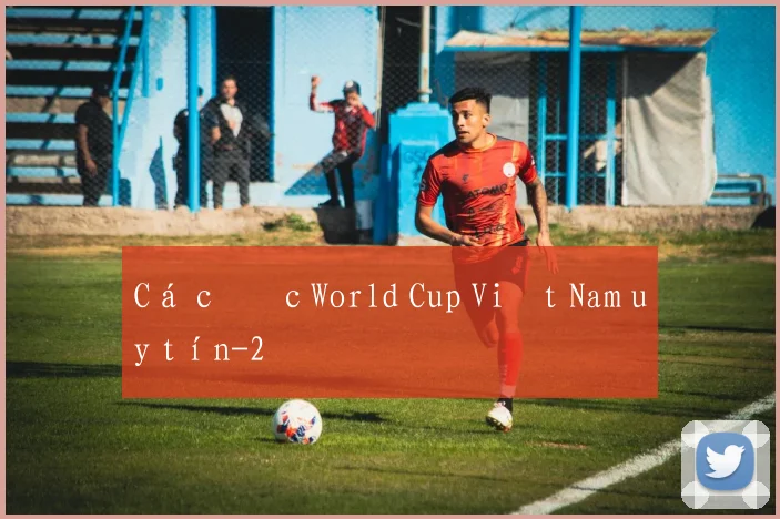 Cá cược World Cup Việt Nam uy tín