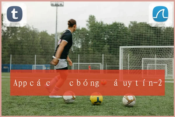 App cá cược bóng đá uy tín